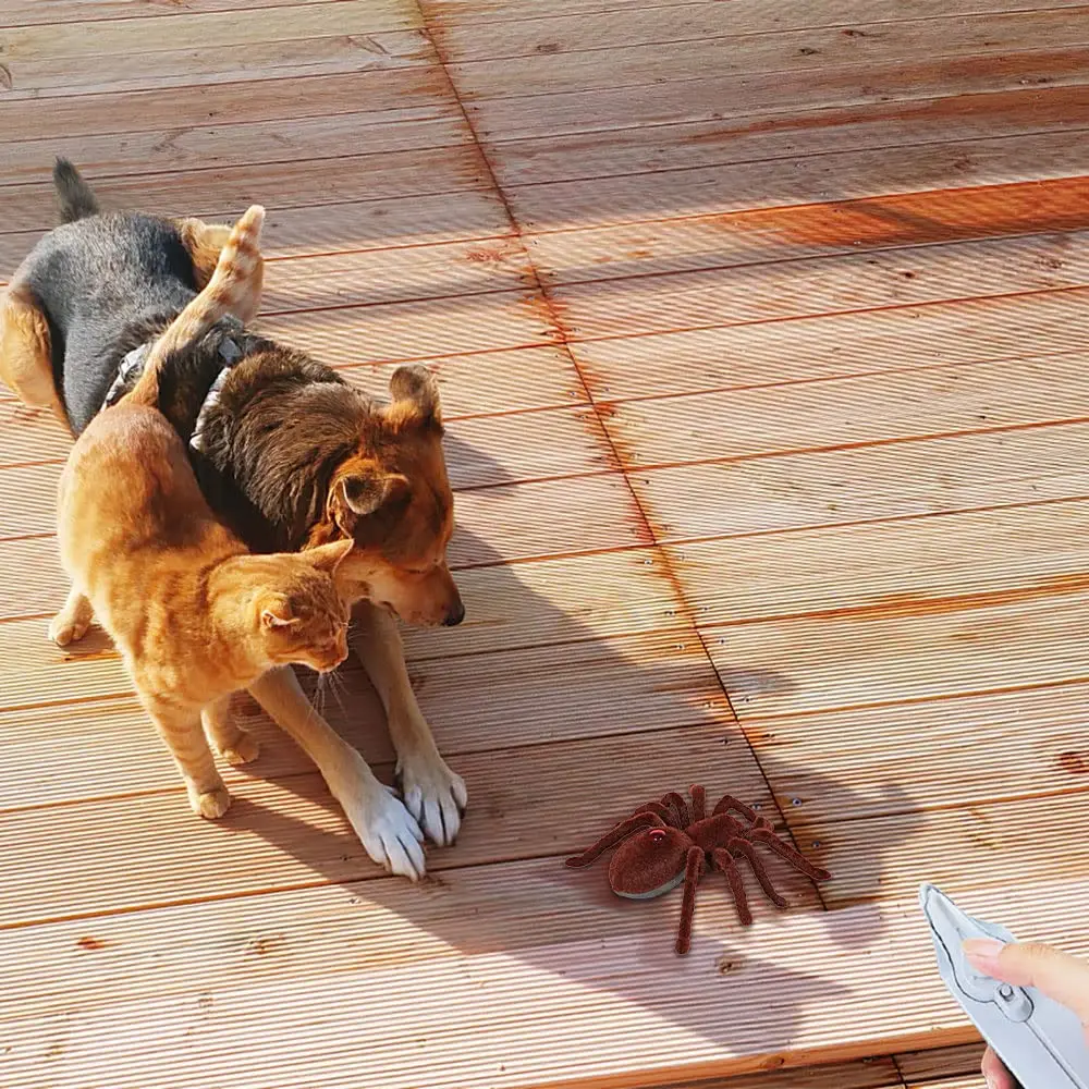 Jouet d'araignée télécommandé infrarouge, jouet RC de farces effrayantes d'animal en peluche rampant de Simulation pour enfants garçons filles cadeau de fête d'Halloween