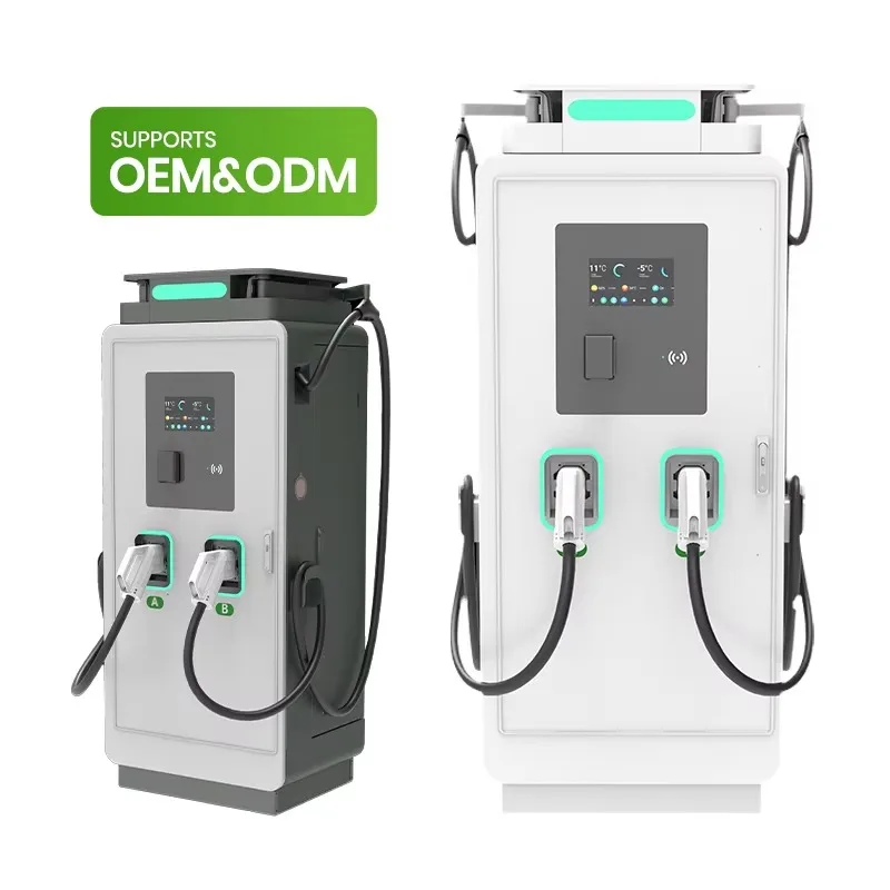 Customized Customize New Commercial Electric Car Charging Station Double Fast DC 160kw CCS1 CCS2 Ultra Fast EV Charger