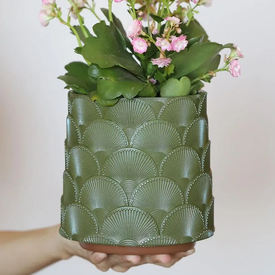 

Кашпо для растений Pearl Sage Green Scale, милый и уникальный цветочный горшок с дренажем, элегантные разноцветные маленькие кашпо для комнатных растений.