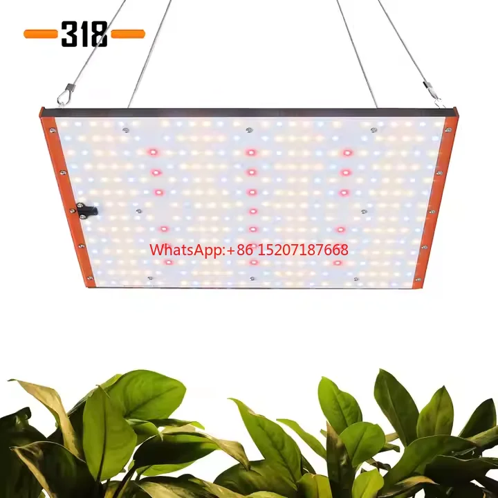 120W Grow Light Sam… - image