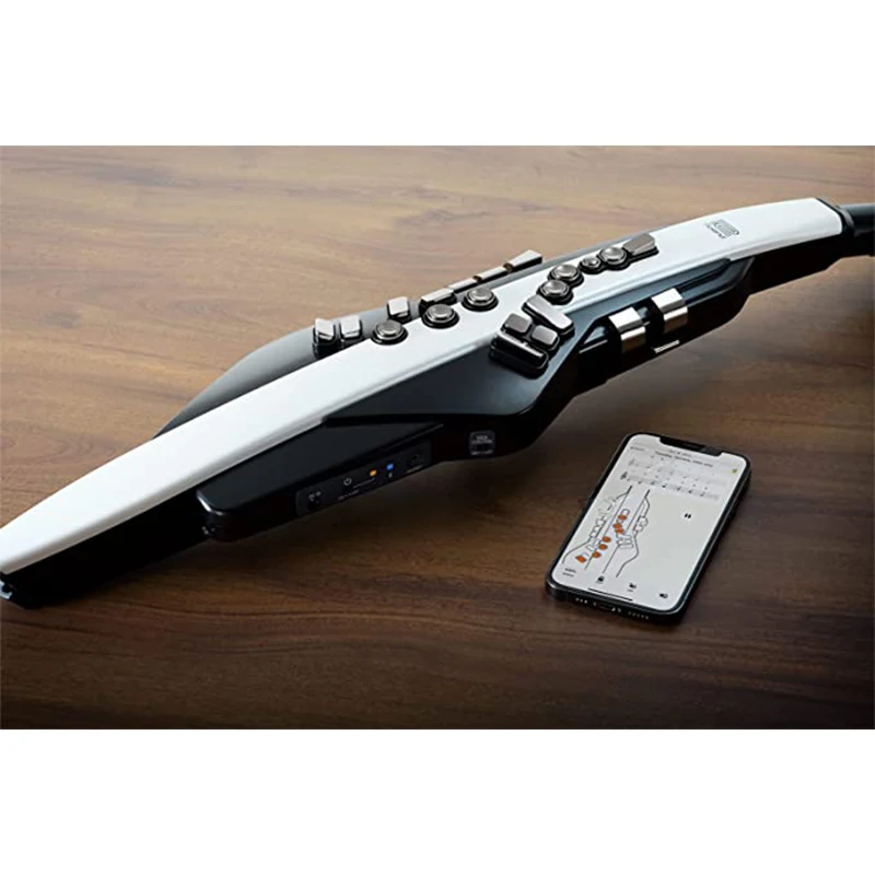 ROLAND Aerophone Black AE-20 , AE 20 , Roland AE20