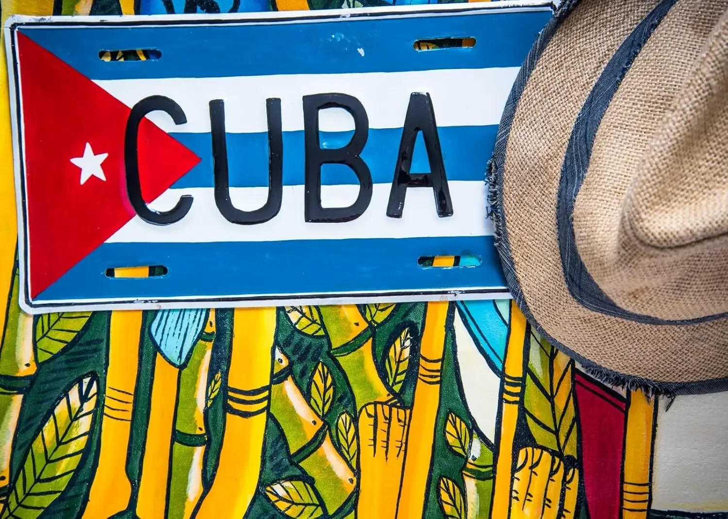 Cuba Backdrop Cuban Flag Straw Hat Cuba Havana Party Decor Portrait Shoot birthday photo background photography backdrop studio