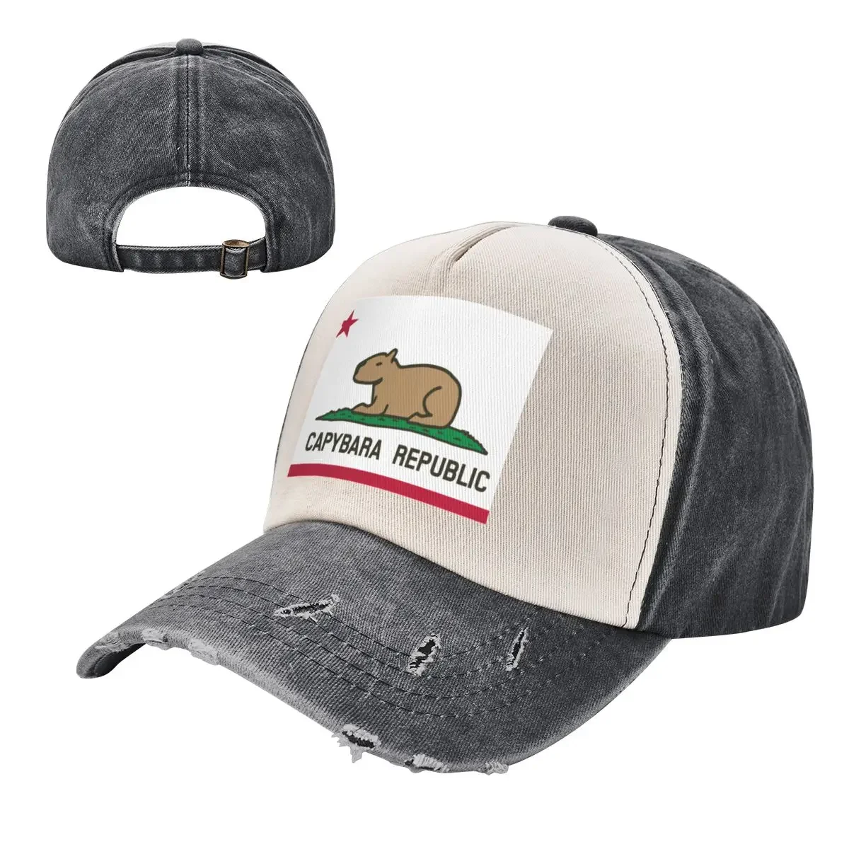 Capybara Flag (relaxed land version) Baseball Cap Wild Ball Hat fashionable Winter hat hard hat Men Golf Wear Women's 3