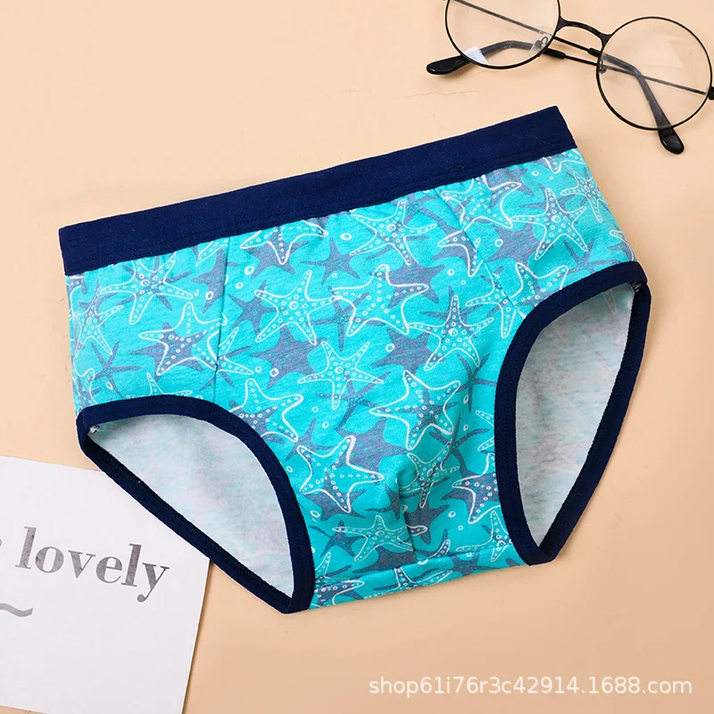 4PCS/Lot Boys Cotton Underwear 1-11Years Children Triangular Pants Teenagers Double Layer Antibacterial Underwear
