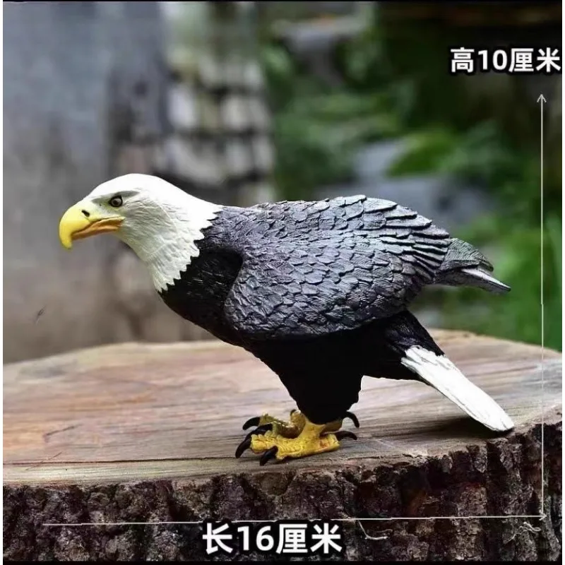 Maßstab 1:6, großer Raptor, Weißkopfseeadler, Simulationstier, Seeradler-Modell für 12-Zoll-BJD-Actionfiguren, Szene, Ornament