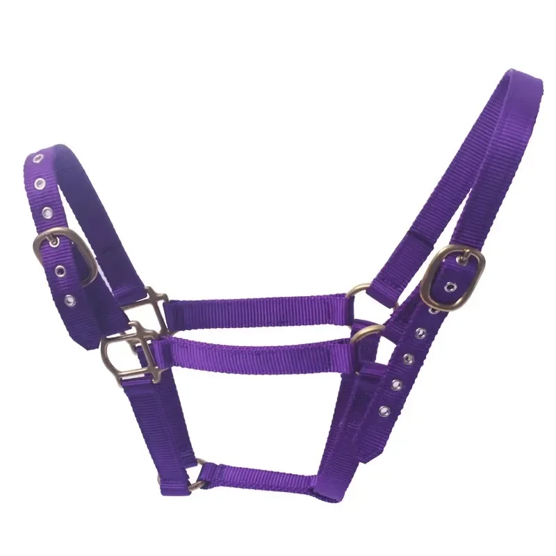 Best Selling Nylon Horse Halter Unique Design Options Available for Private Label and Custom Branding