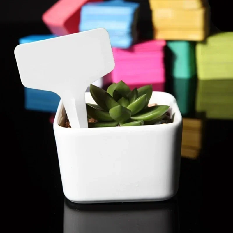 20 Pcs Plastic Waterproof Plant Name Tags With Strip Line Gardening Labels Signs Mark Tools Flower Shop Garden Accessories