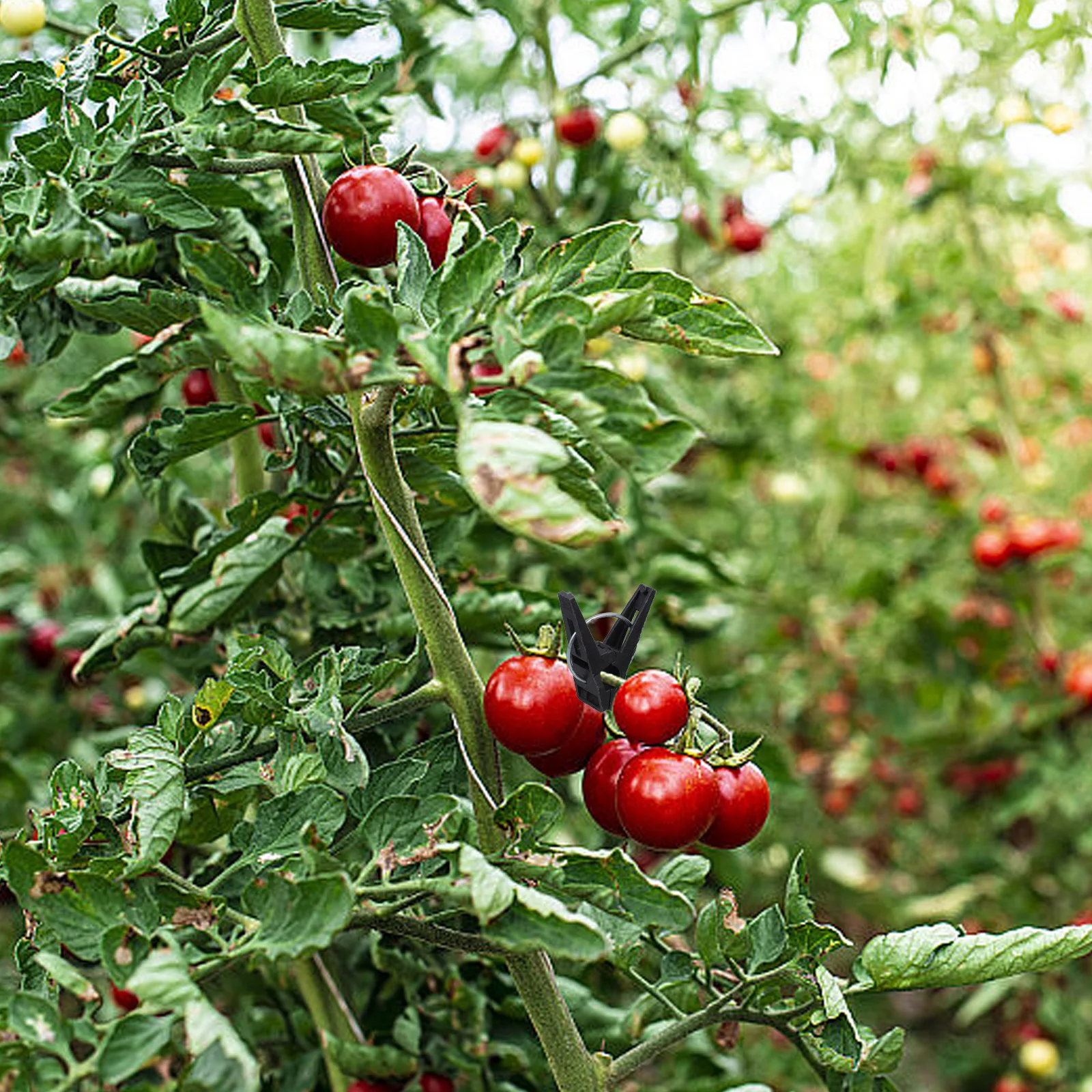 

1Set PP Material Greenhouse Clips Heavy Duty Tarp Clamps for Plants Easy Setup Reliable Protection Various Applications