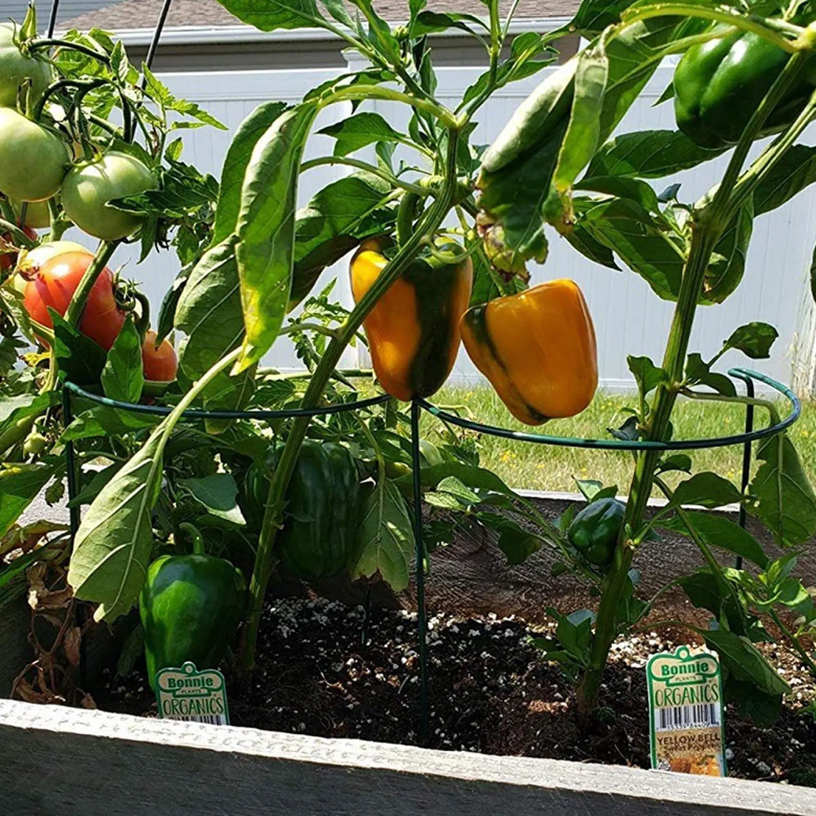 

6Pcs Plant Support Brackets Premium Material Garden Plant Stand Protect Leaves Climbing Support Potted Plants Stand