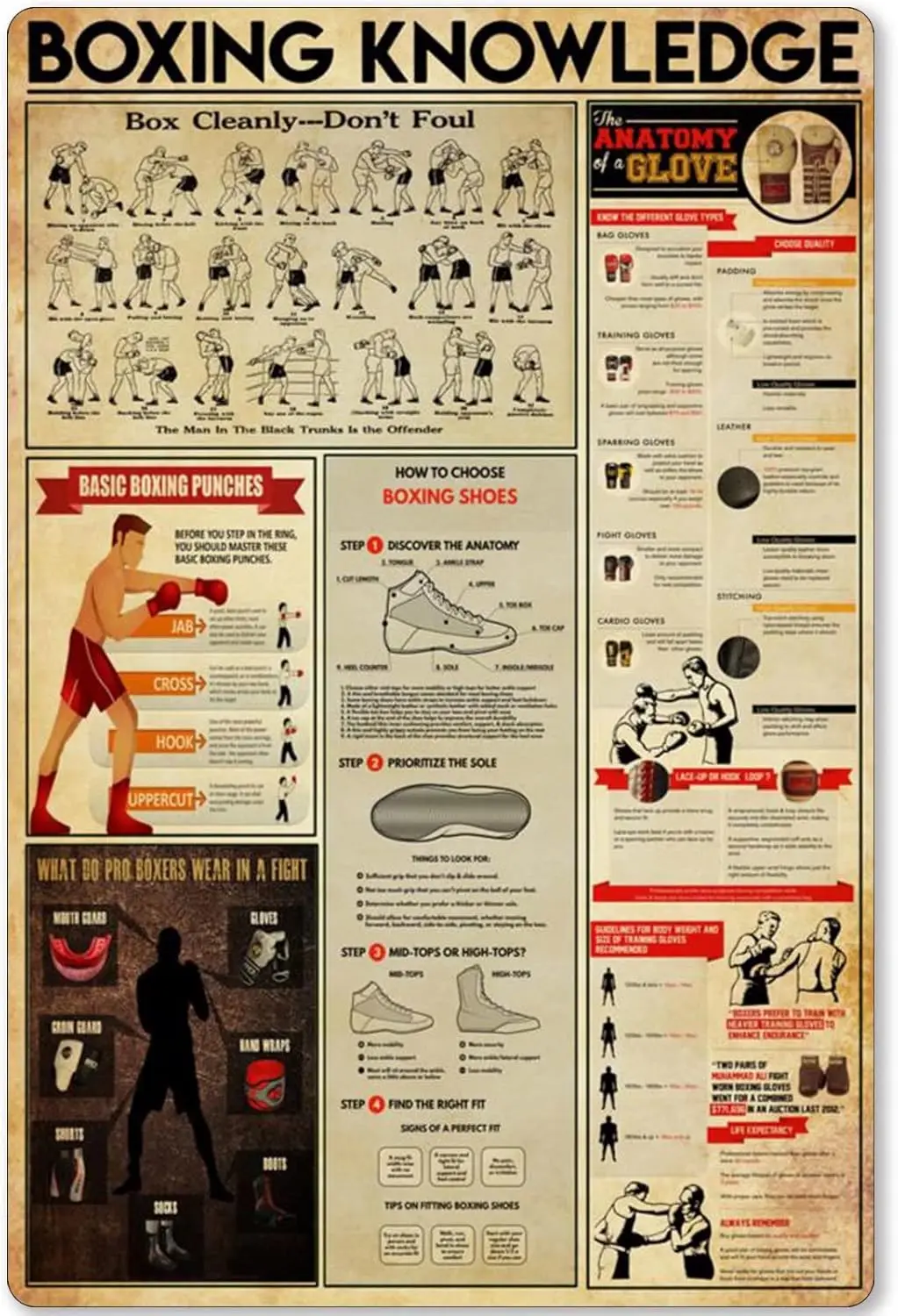 Panneau métallique décoratif sur le thème de la boxe : Affiche infographique « L'anatomie d'un gant », idéal pour club de boxe, maison, cuisine, garage, bar