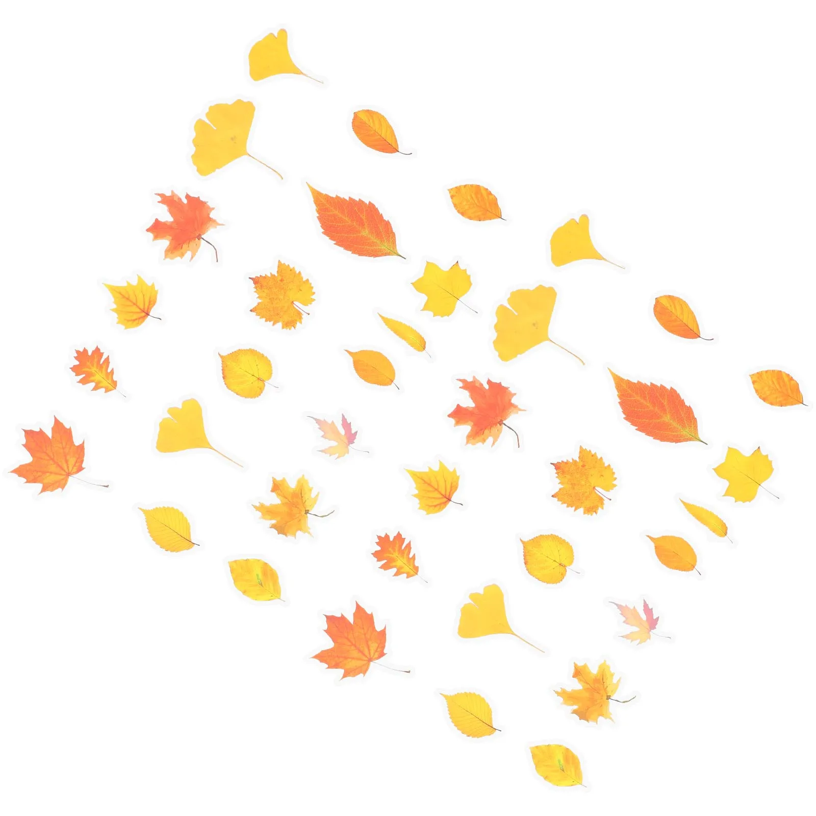 2Sets Creative Botany Stickers Adorable DIY Scrapbook Decors Exquisite Patterns Premium Pet Material Botany Stickers