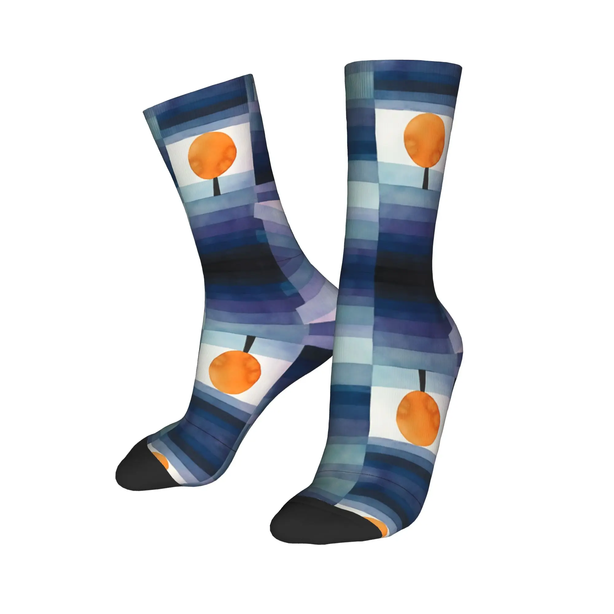 Paul Klee The Hour Before One Night  Socks Men's Women's Polyester Casual  Socks Summer Autumn Winter Middle Tube Stockings