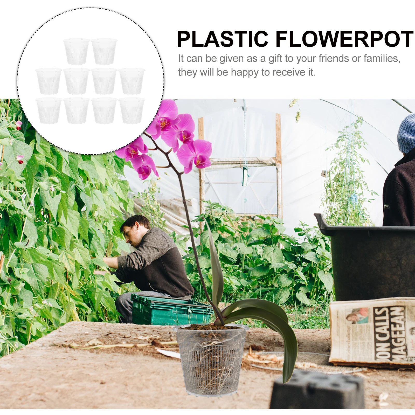 

10pcs Root Control Pot Plastic Flower Pots Washable Simple Bulk Starter Orchid Transition Pot Garden
