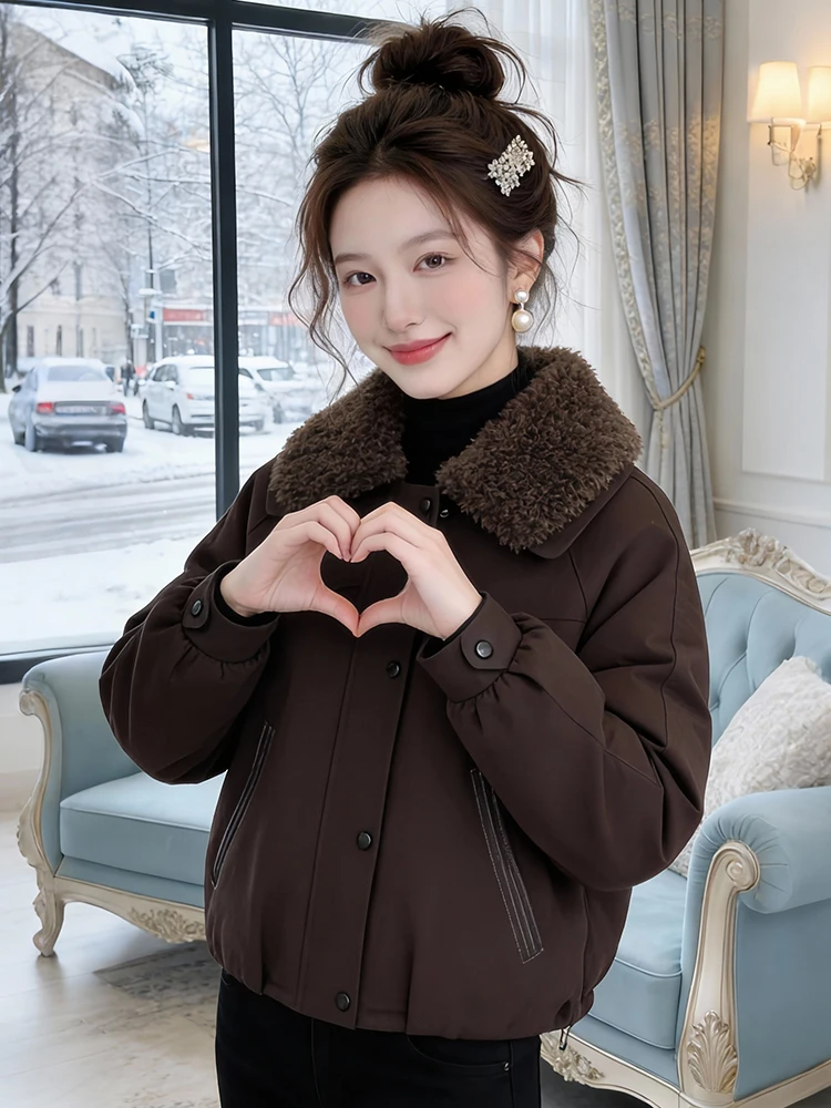 

Thiened ort down Cotton Jaet Women's Warm Cozy Home Winter Outerwear Sli Commute Korean Loose Fit Polyester Fiber