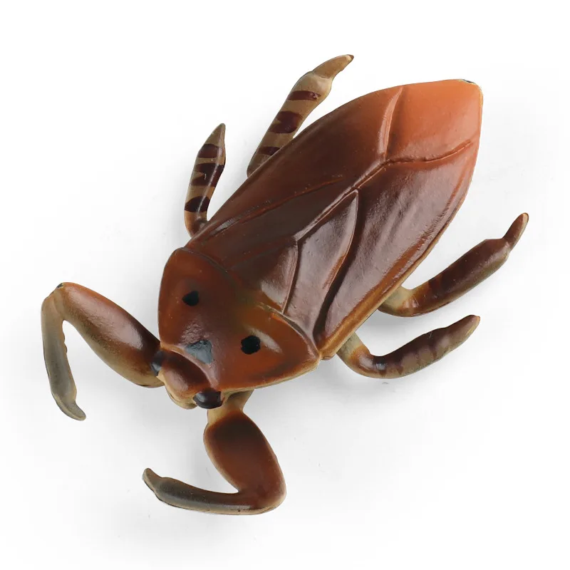 Educazione dei bambini puntelli cognitivi simulazione giocattoli per insetti insetto d'acqua gigante Mantis Longicorn Spider Beetle figure modello animale