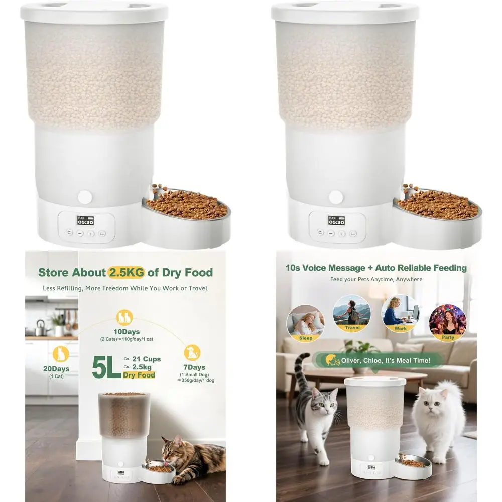 

6-Meal Programmable Automatic Cat Feeder with Stainless Steel Bowl, Easy Setup, Dual Power, 10s Meal Call for Cats & Small Dogs