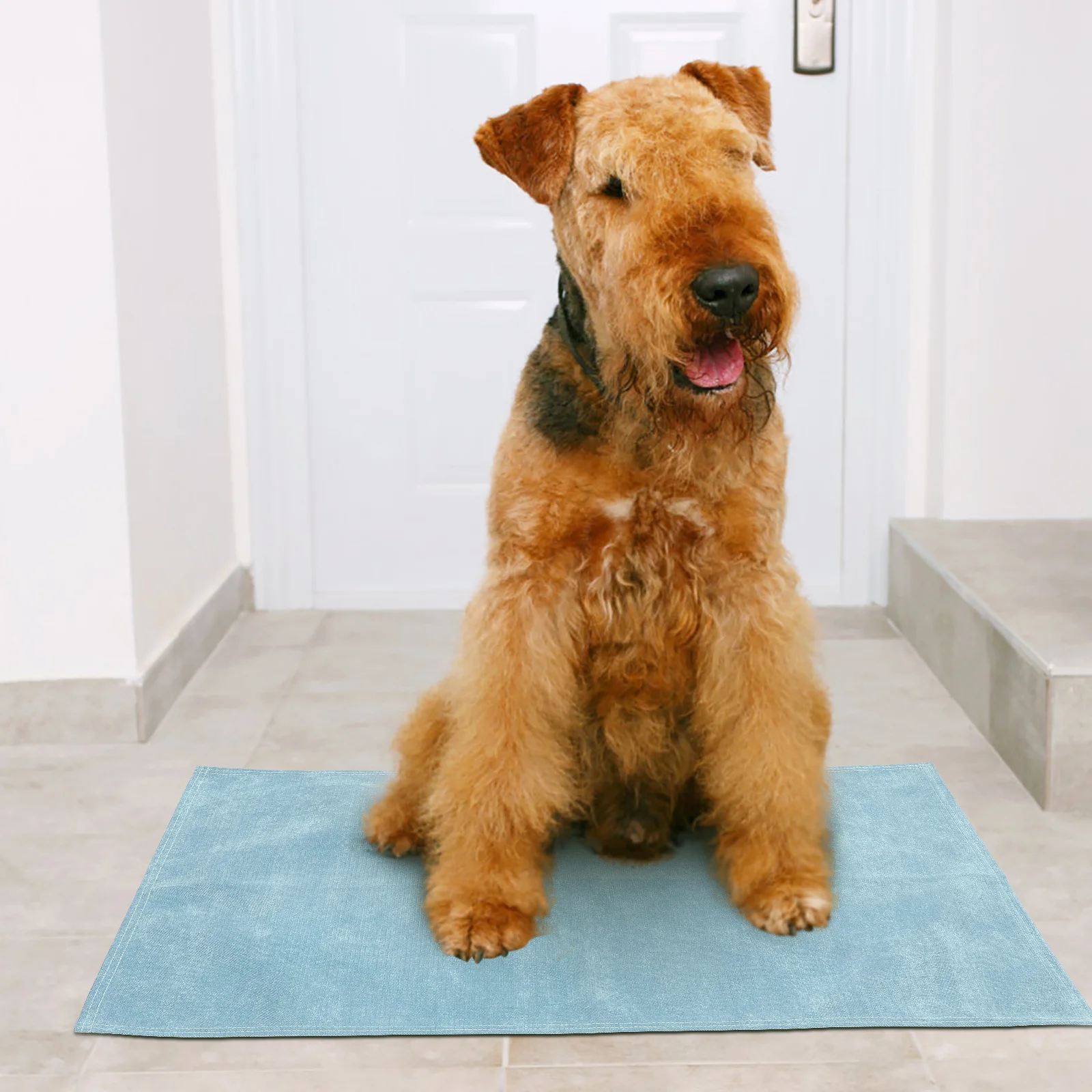 

Waterproof Pet Mat Lightweight Polyester Sofa Blanket Indoor Outdoor Couch Protector Dog Cat Summer Cooling Bed Cover