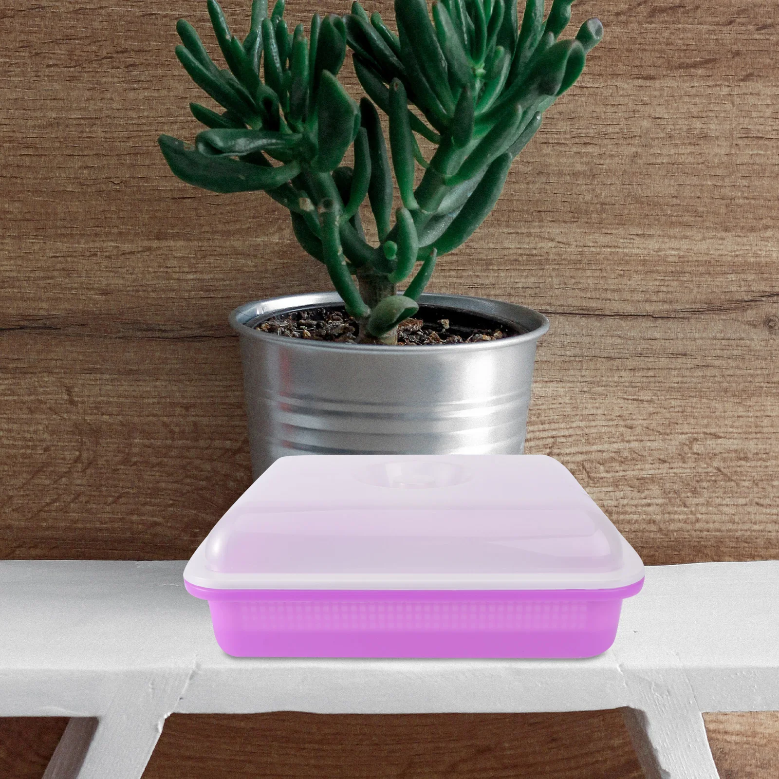 

Hydroponic Nursery Tray with Cover High Budding Rate Moisture Heat Preservation Easy Friendly Bean Sprouting