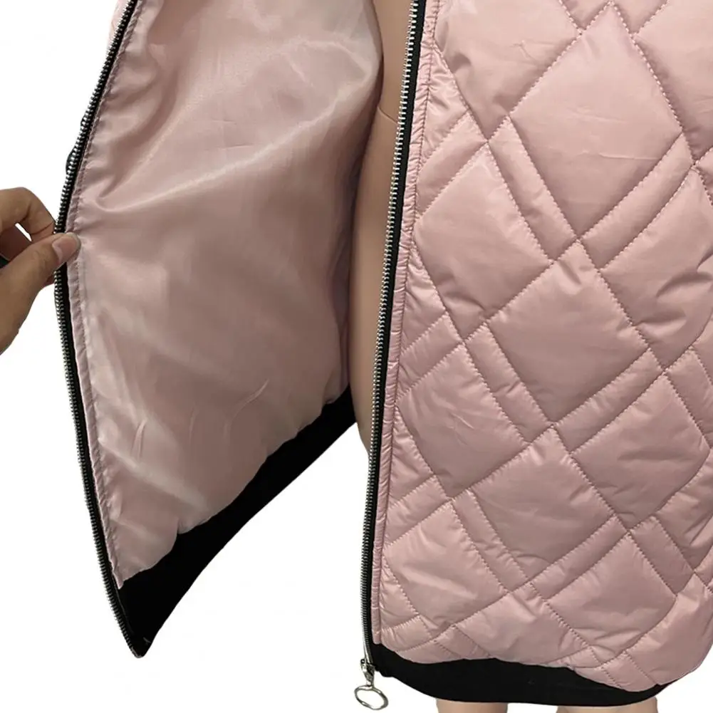 Winterdonsjas met capuchon en ritssluiting met trekkoord Winddicht gewatteerde bovenkleding Warmtebehoud Slim Fit Koud weerjas