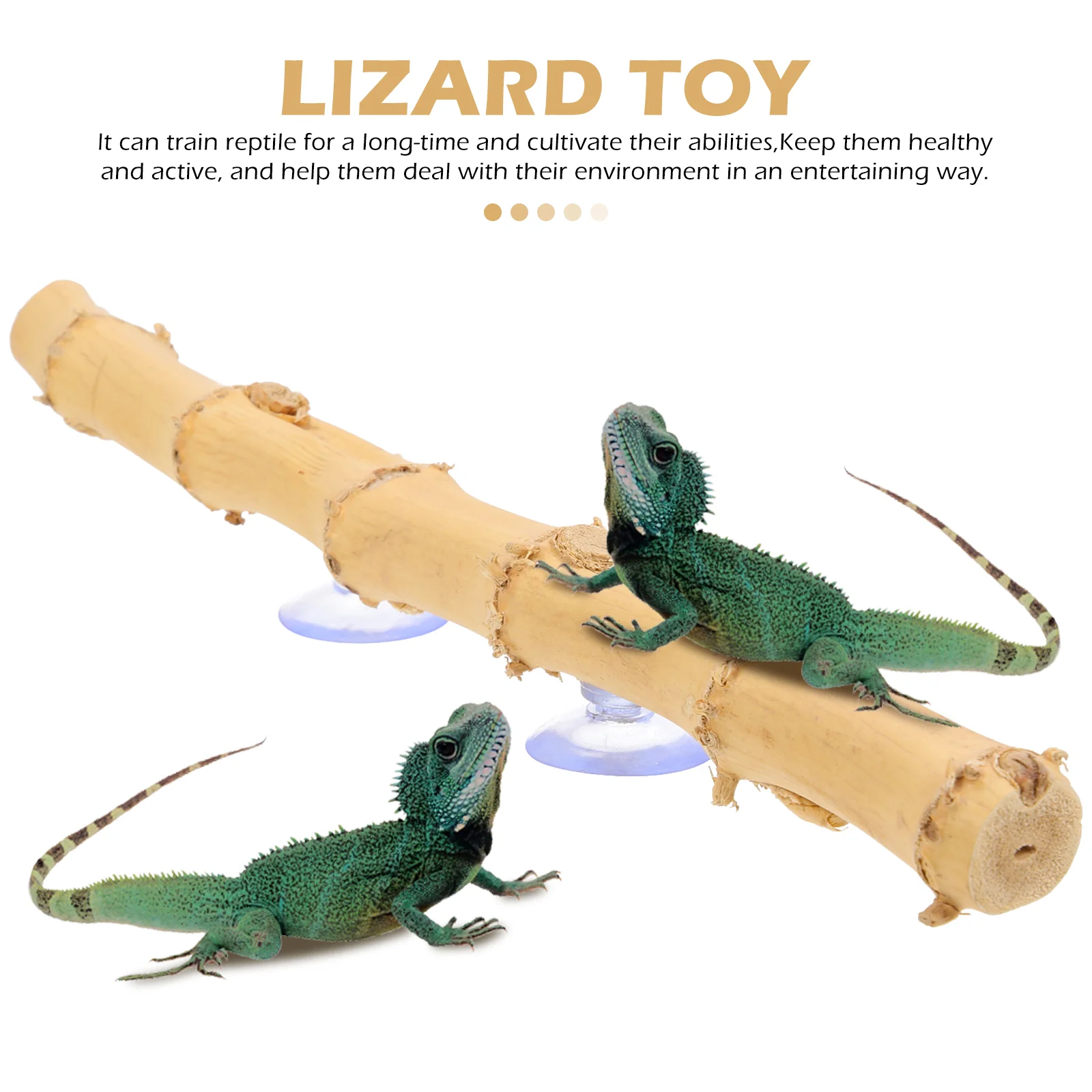 Lizards Animal Pet Stand Climbing Toy Reptile Tree Branch Cage Decor Tank 30X25X25CM Bearded Dragon Supplies Wood Rack