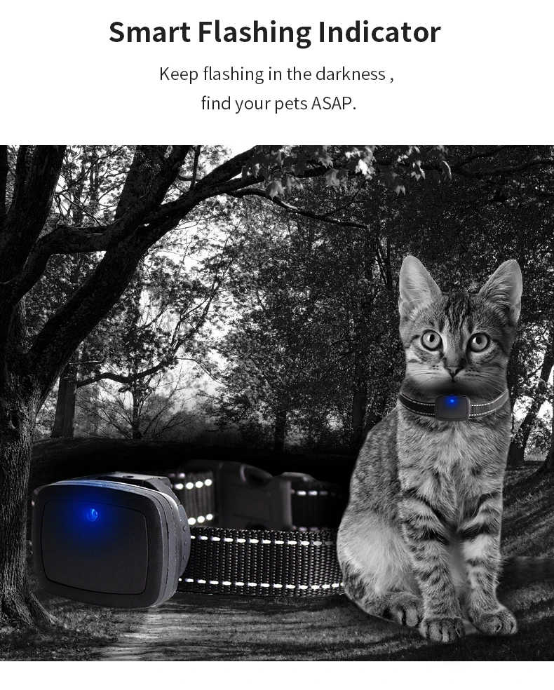 Monitor de Actividad para Masc - Pet Activity Health Monitor Tracker reseña y precio