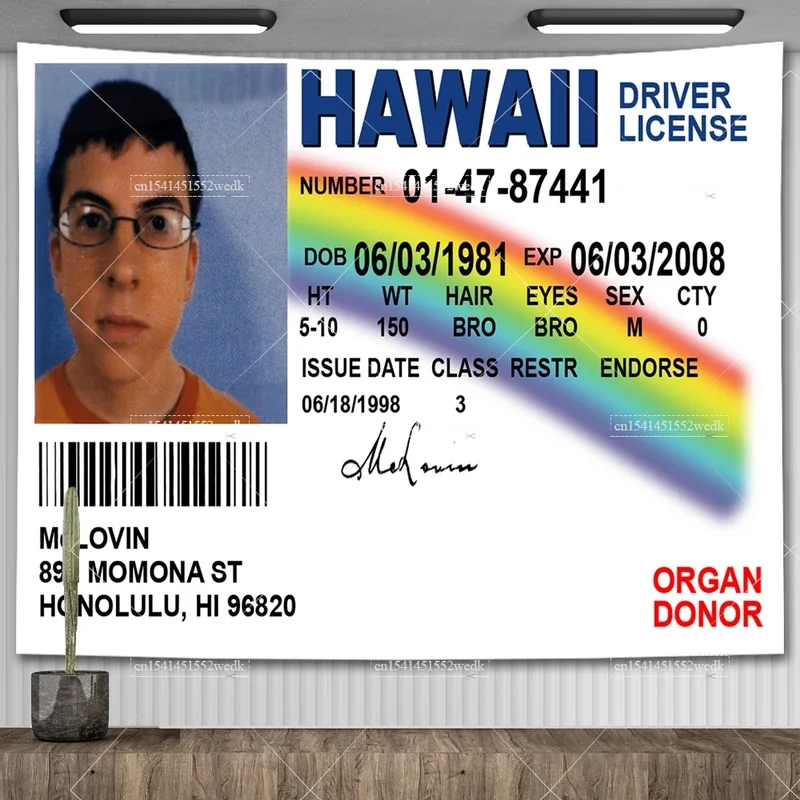 McLovin ID card Flag Fake Driver License Flags Wall Hanging Tapestry Funny Meme Tapestries For Bedroom Aesthetic Room Decoration