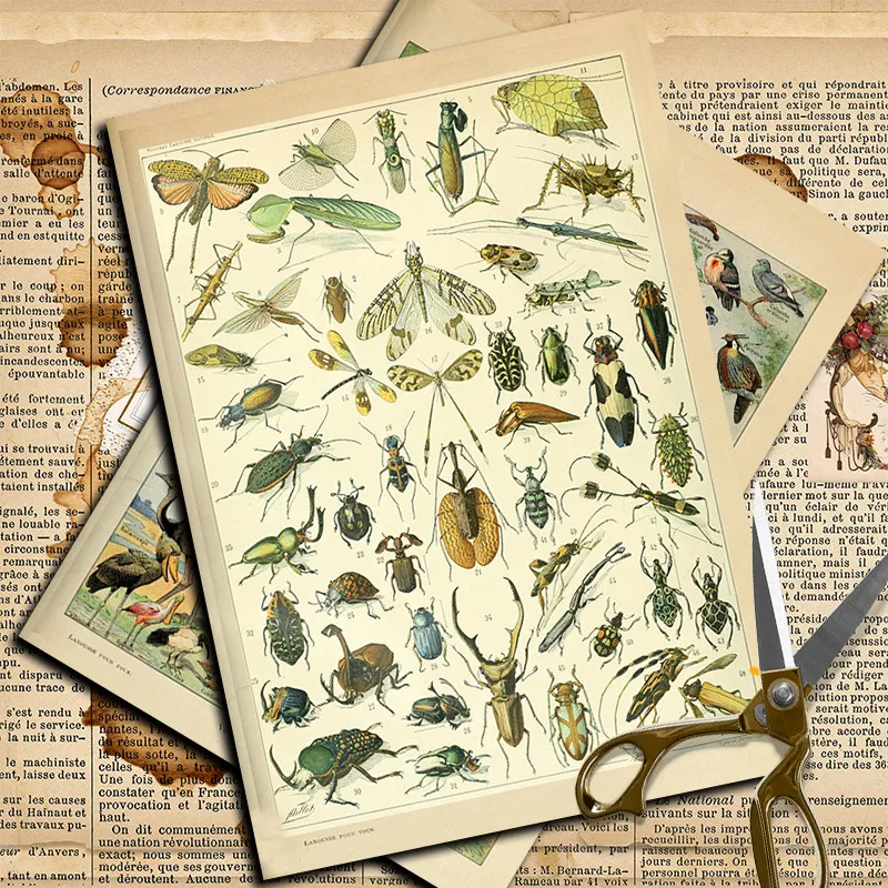 10sheets Insect Atlas Material Sticker Kids Diy Tool Computer Stickers for Water Bottles Waterproof Arts Crafts