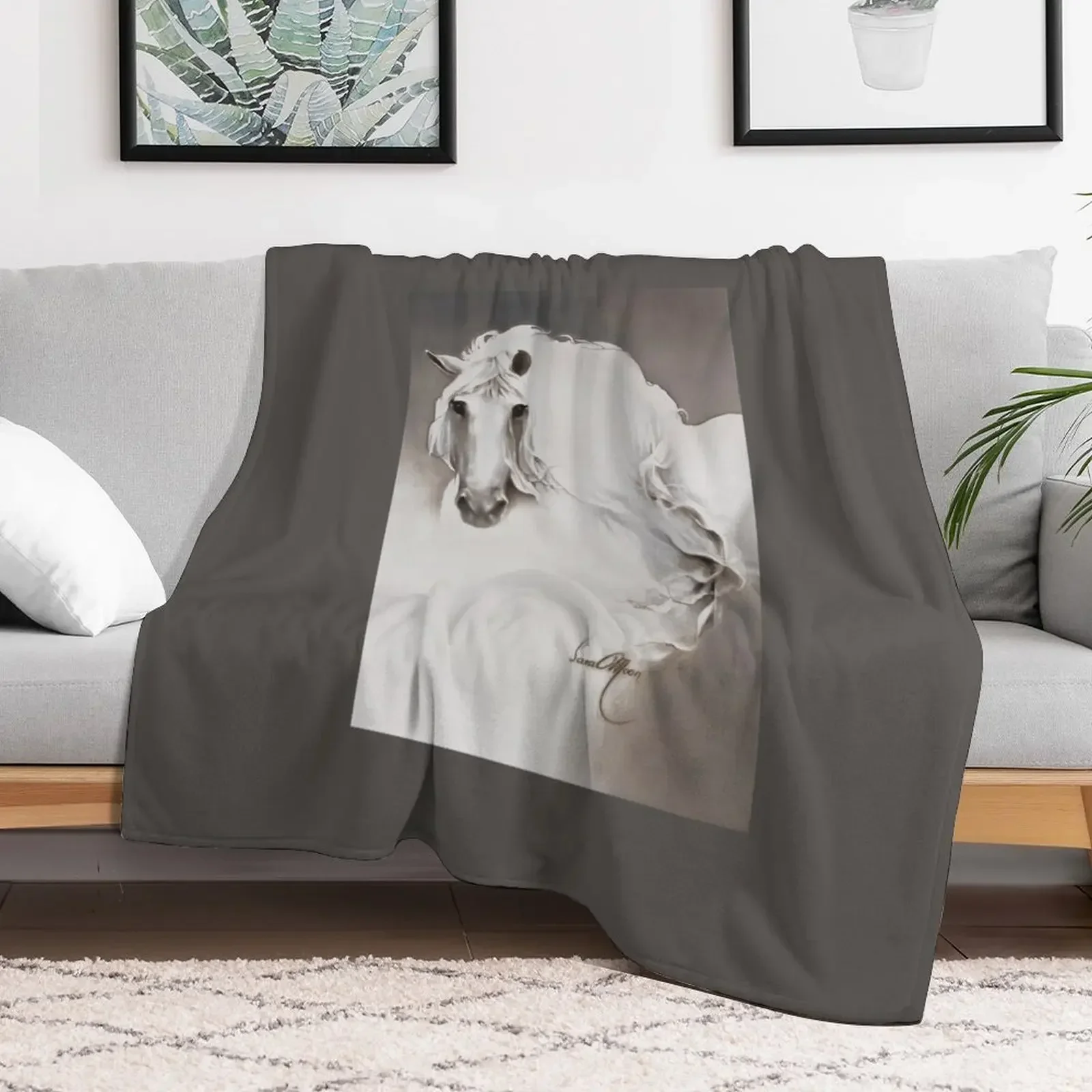 

The Queen Throw Blanket Vintage Furry Blankets