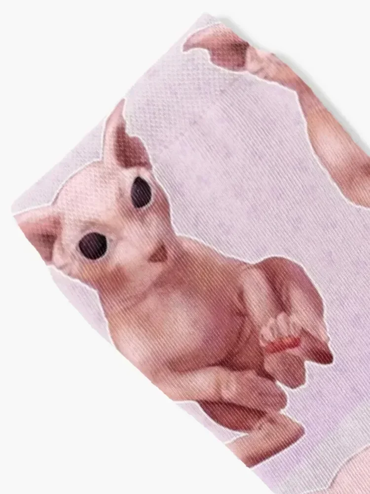 Bingus... Socks loose funny sock Heating sock custom Socks Male Women's