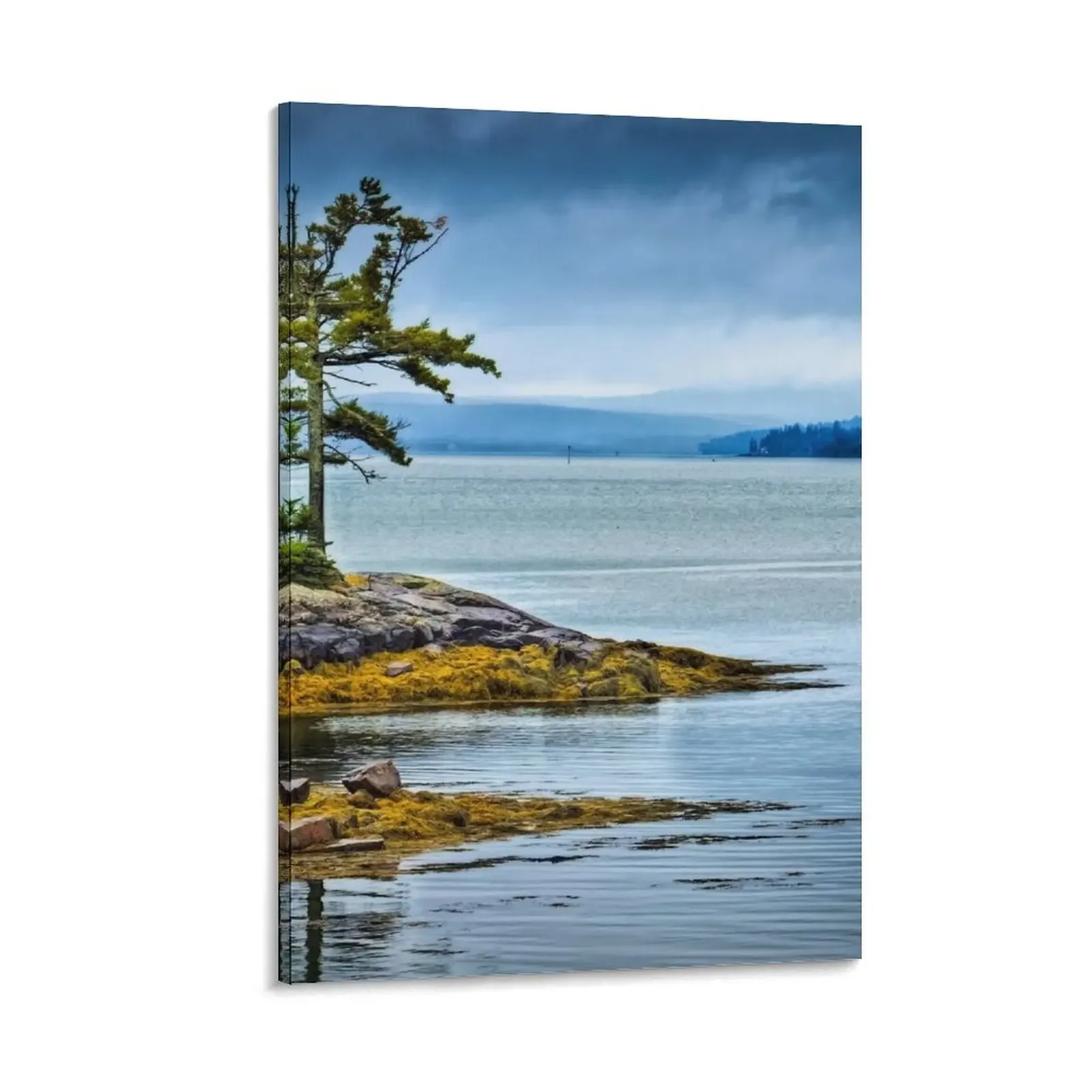 

Moody Maine Canvas Painting Paintings on the wall aesthetic room decoration