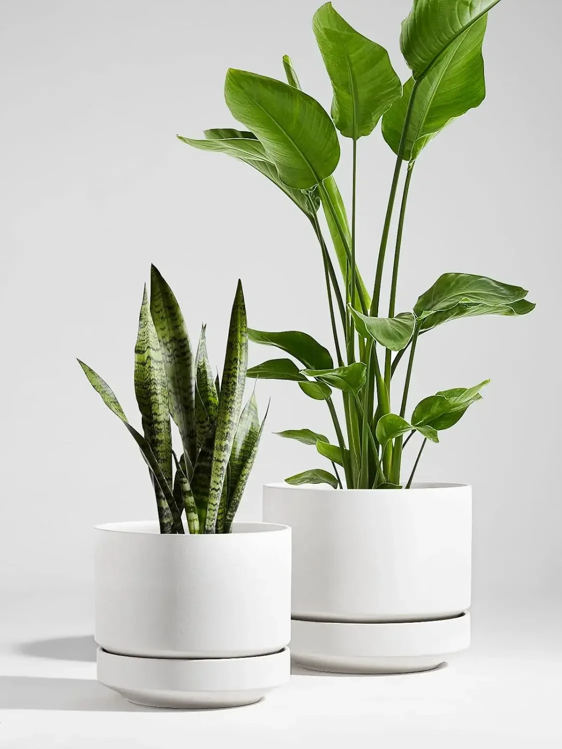 BestsellerBestsellerBestsellerBestsellerLE TAUCI Large 14 Inch Plant Pot with Saucer | Ceramic Outdoor & Indoor Big Planter Pot