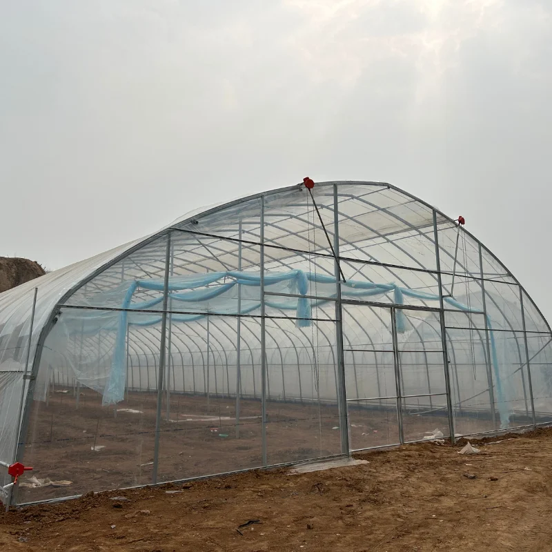 

Customized greenhouseProfessional Plastic Film Greenhouse for Growing Fresh Produce Leafy Vegetable Growing Film Arch Hoop Tent