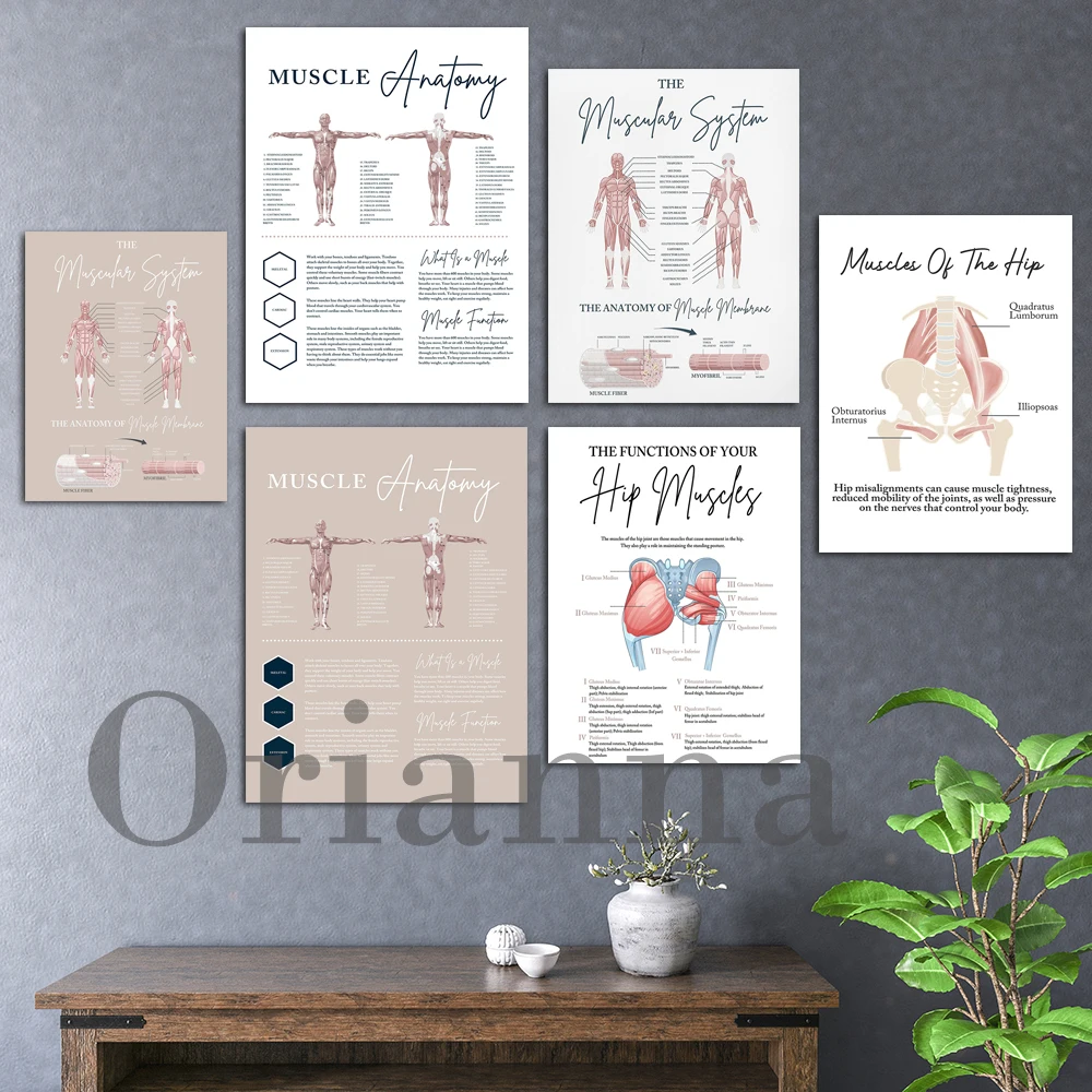 

Muscular System Chiropractic Medical Print Anatomy Poster Vitalistic Chiro Symptoms Healing Pelvic Tilt Hip Subluxation Wall Art