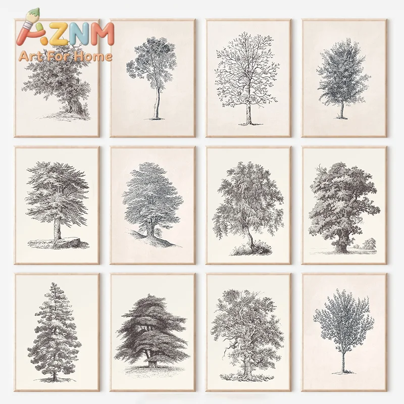 Antique Trees Beech Betula Cypress Ash Tree Sketch Retro Posters and Prints Canvas Printing Wall Art Picture for Room Home De