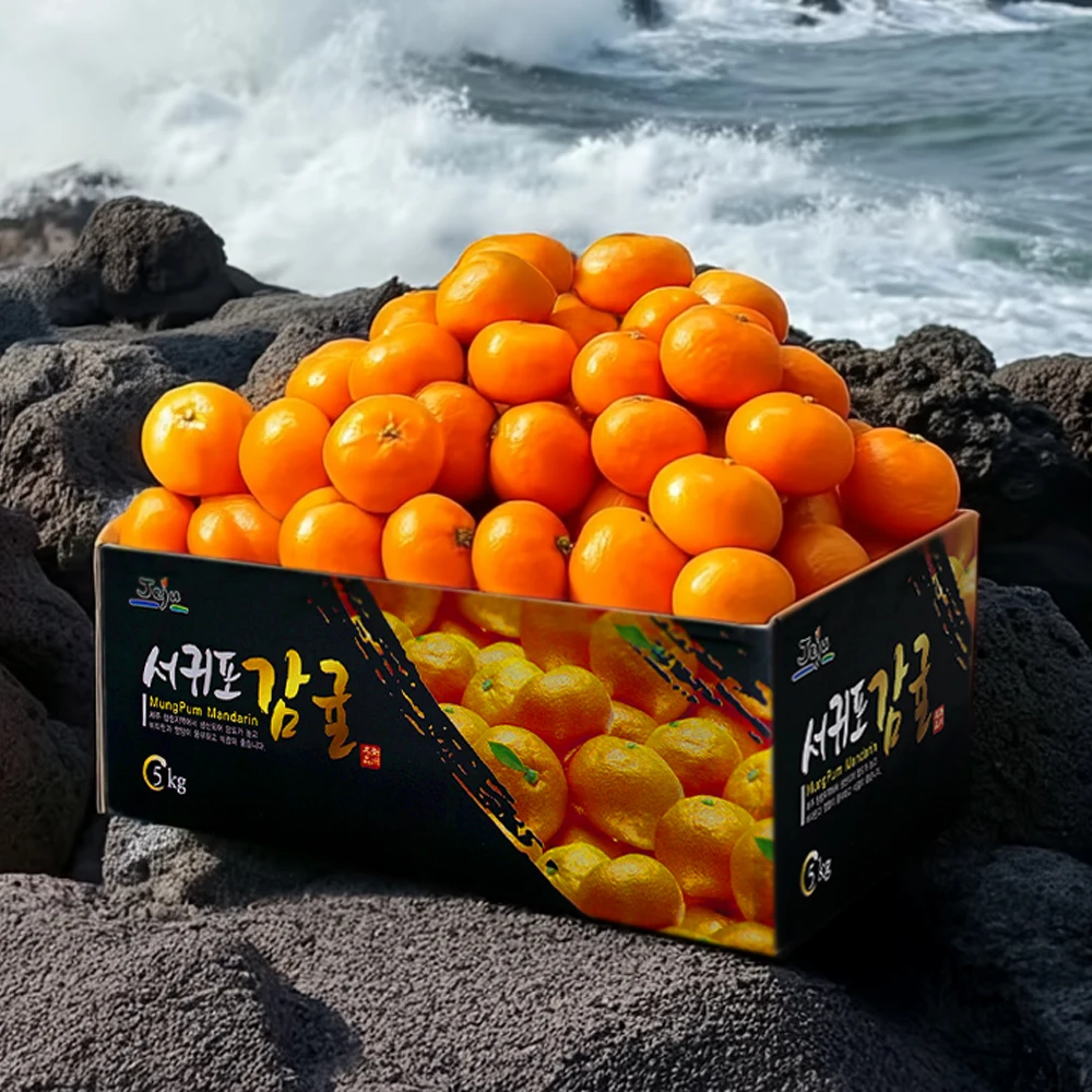 Jeju التسليم المباشر Jeju Tangerines اليوسفي المفتوحة الميدانية 9 كجم