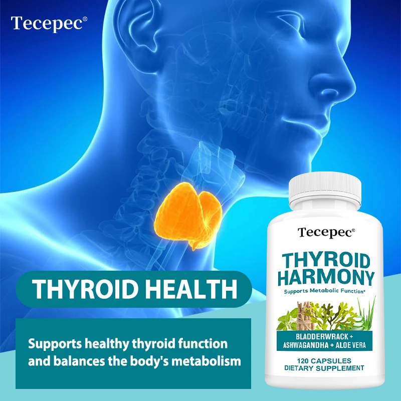 Thyroid Support Capsules Ashwagandha, Schisandra, L-Tyrosine, Zinc & Selenium, Support Energy, Metabolism, Focus & Mood Balance