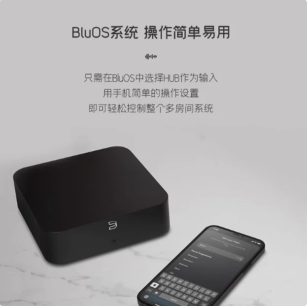 Bluesound HUB Hub BluOS HD Audio Input Wireless Multi Room Streaming System