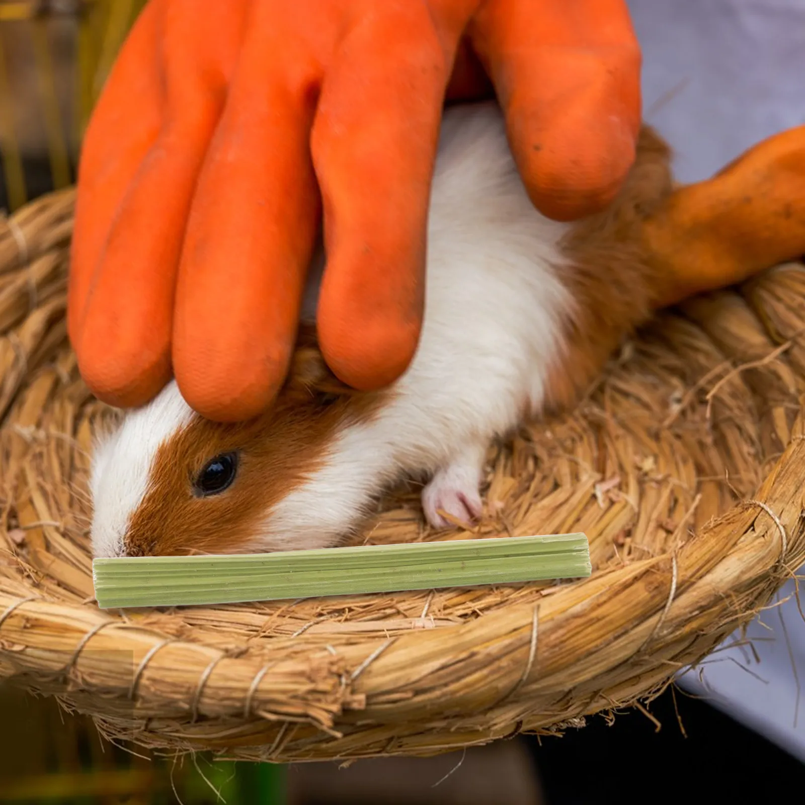 1 Juego de Palitos de Papaya Seca Natural para Masticar, para Conejos, Hámsters, Chinchillas, Cobayas y Mascotas Pequeñas, para la Salud Dental y el Molido de Molares