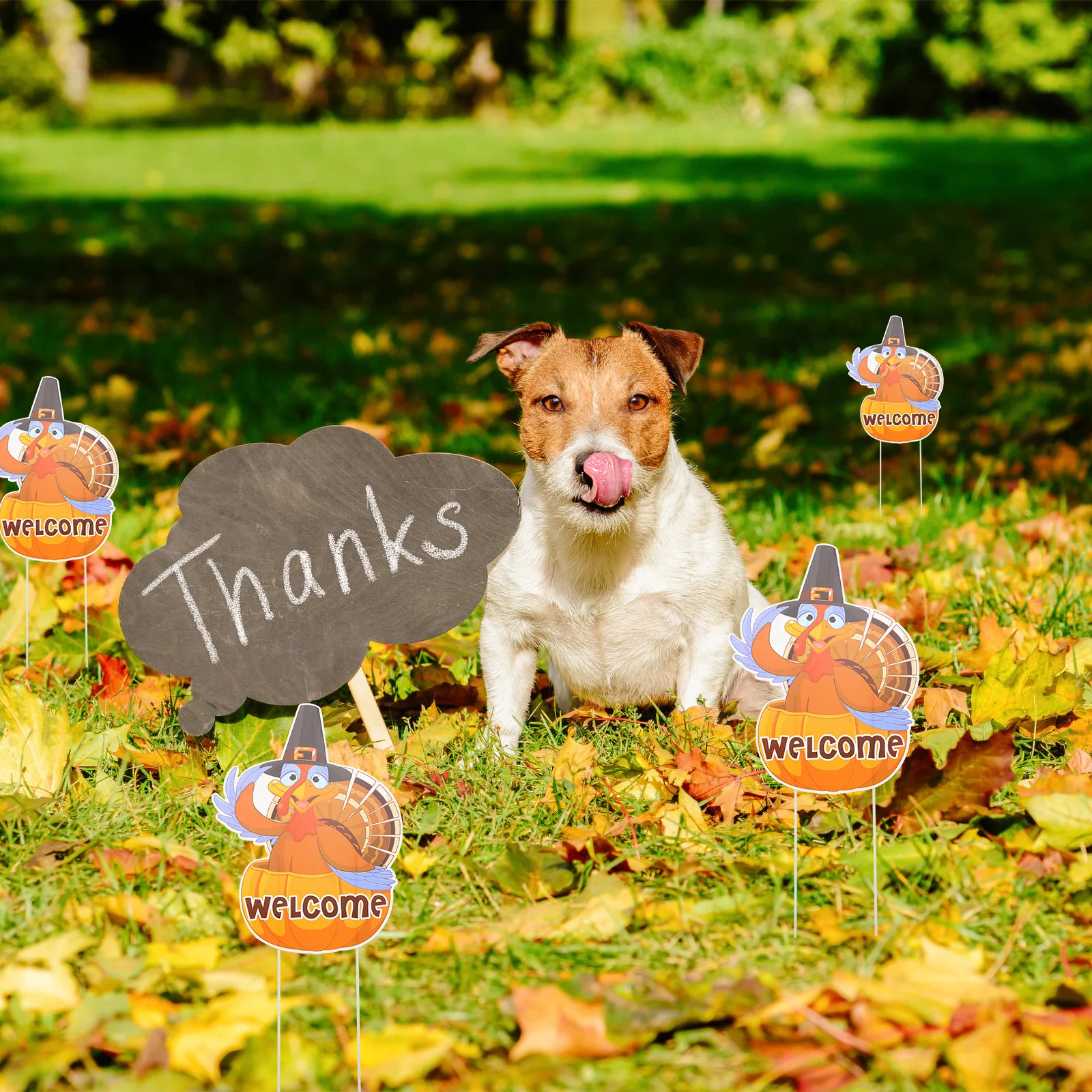

1Pcs Festival Yard Stakes Sign Thanksgiving Decoration High-Quality Plastic Durable Simple Design Vivid Patterns Eye-Catching