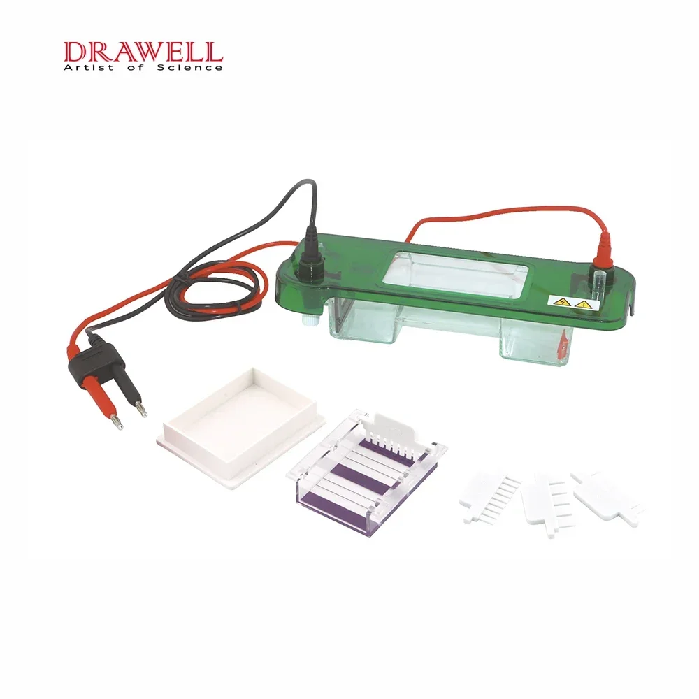 2026DW-SPAT Horizontal Vertical Electrophoresis System  Laboratory Apparatus Equipment Gel Machine Tank Electrophoresis