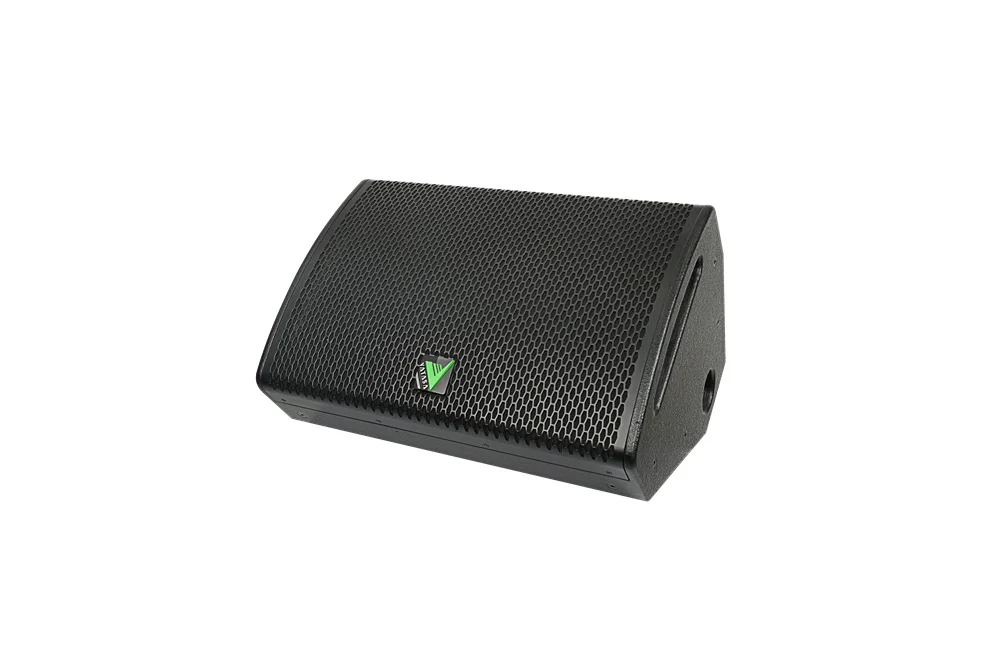 Two-Way Stage Speaker With 12 Inch Woofer And DSP Optimization