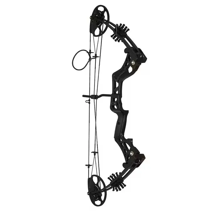 

Archery Compound Hunting Bow 15-45Lbs Adjustable Compound Bow Adult Shooting and Hunting Use