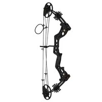 Archery  Compound Hunting Bow 15-45Lbs Adjustable Compound Bow Adult Shooting and Hunting Use