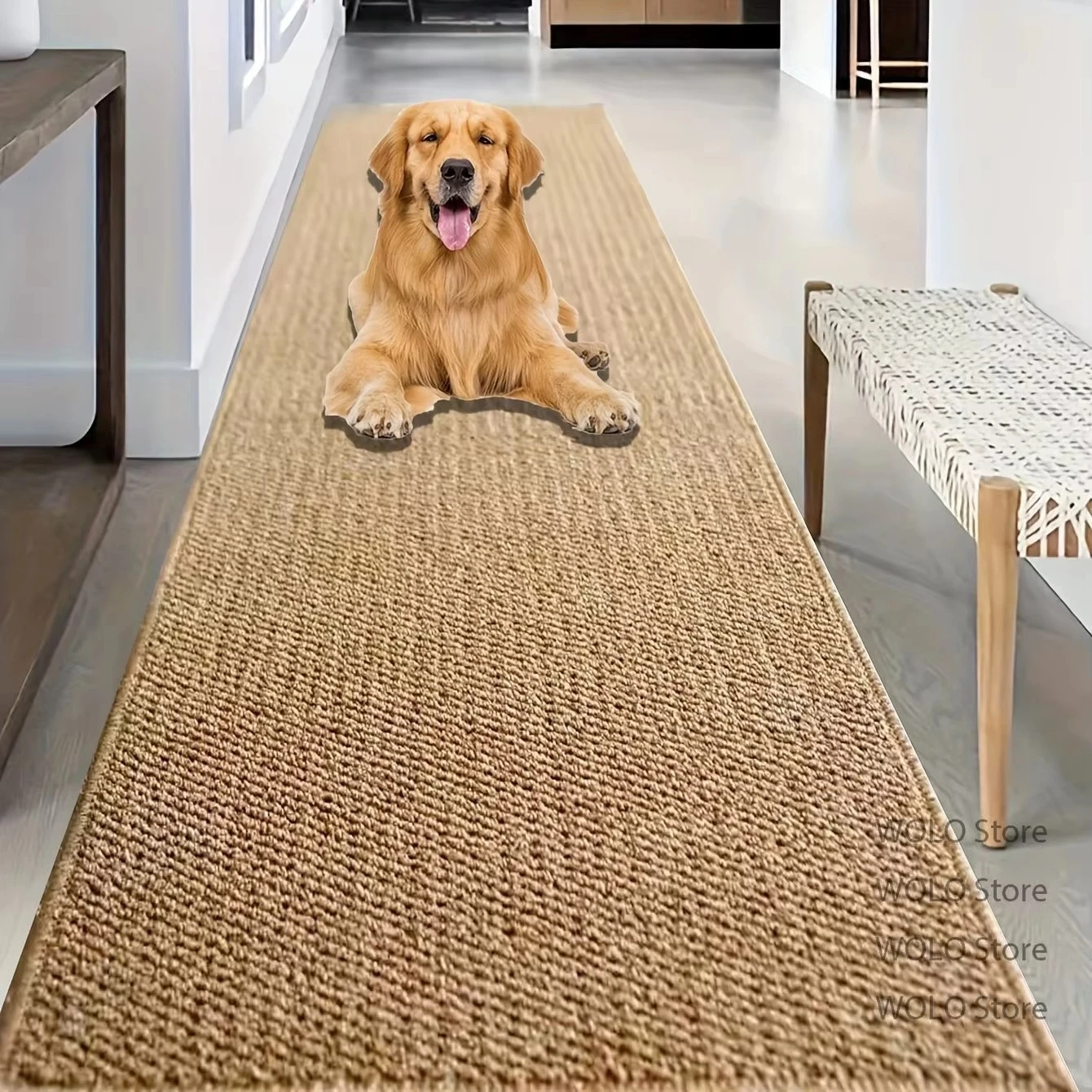 Custom Contact us Custom Contact us Carpet