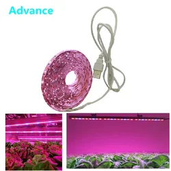 Tira de luz LED de espectro completo para cultivo, lámpara Phyto LED de 0,5 m, 1m, 2m, 2835 Chip para plantas, flores, invernadero hidropónico