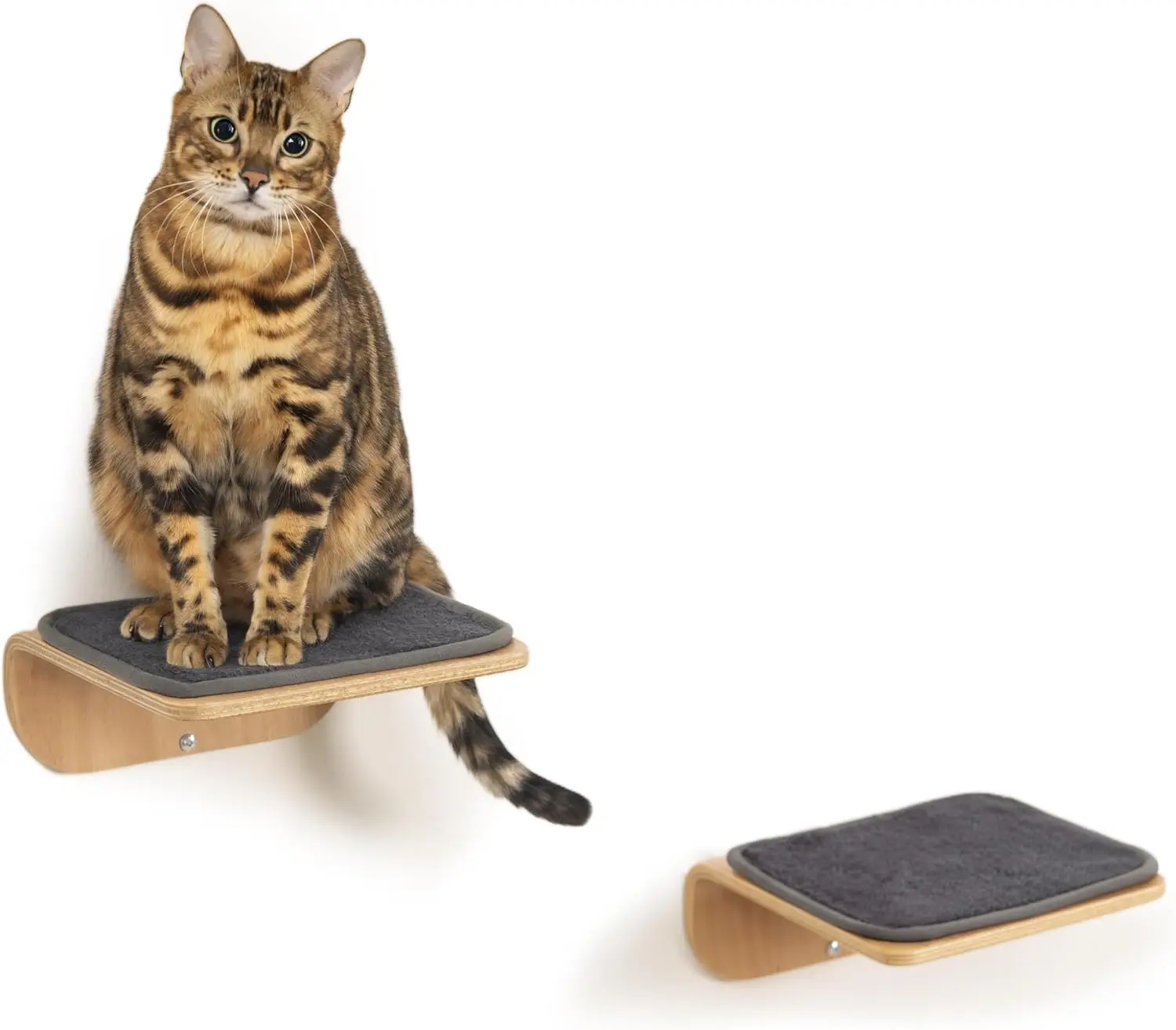 

Настенные полки для кошек: лестницы, подставки, деревянные плавающие полки, современная мебель для экономии пространства с функцией когтеточки