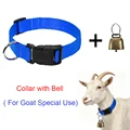 Blue goat collar