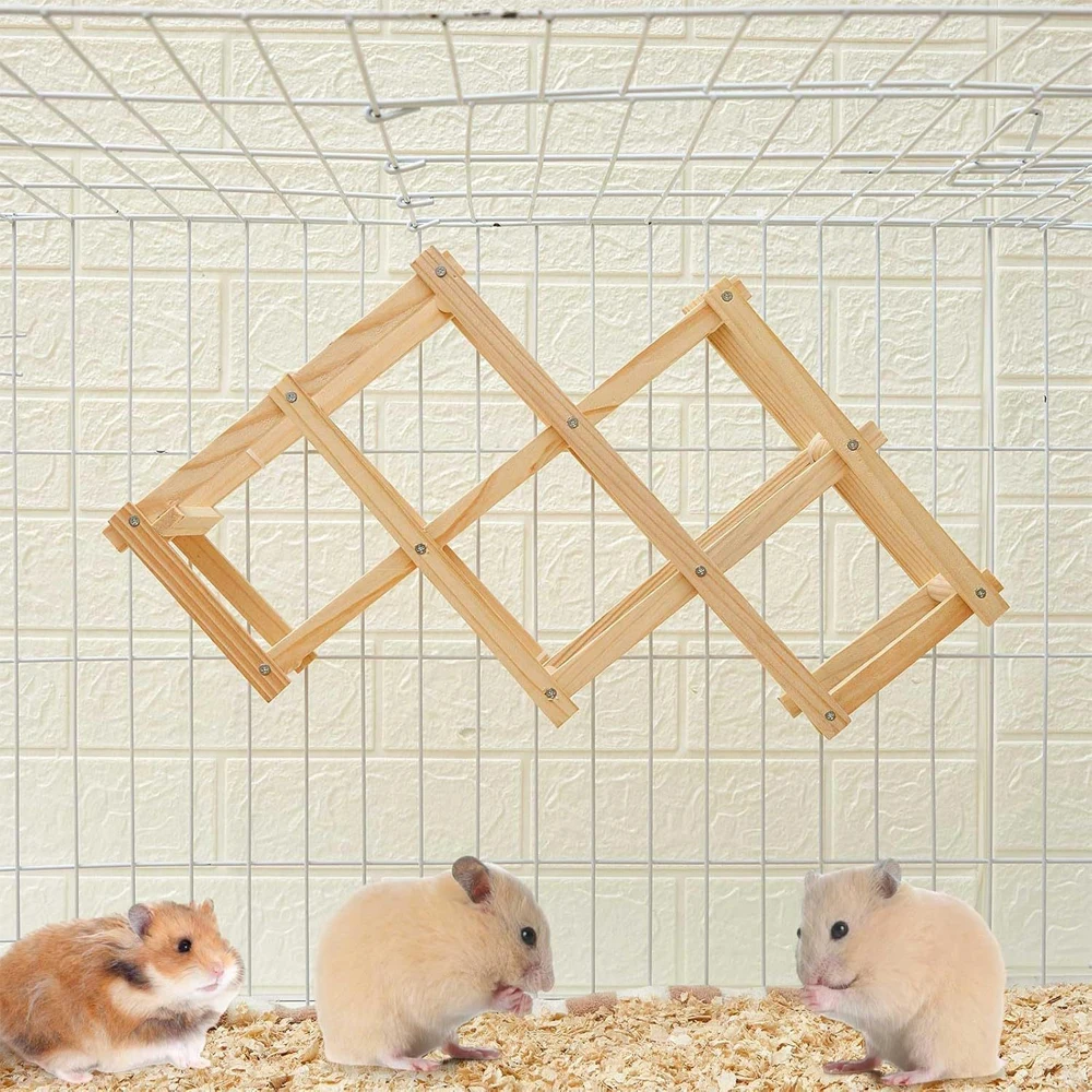 Thumbnail 3 - #12 Trending Hamster Cages Right Now