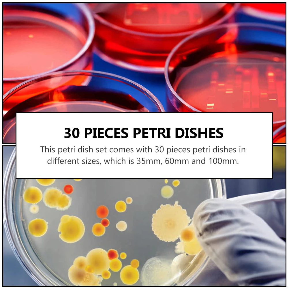 

20 Pcs Laboratory Petri Dishes Disposable Petri Dish With Lids Transparent Plastic Culture Containers for Biology Experiments
