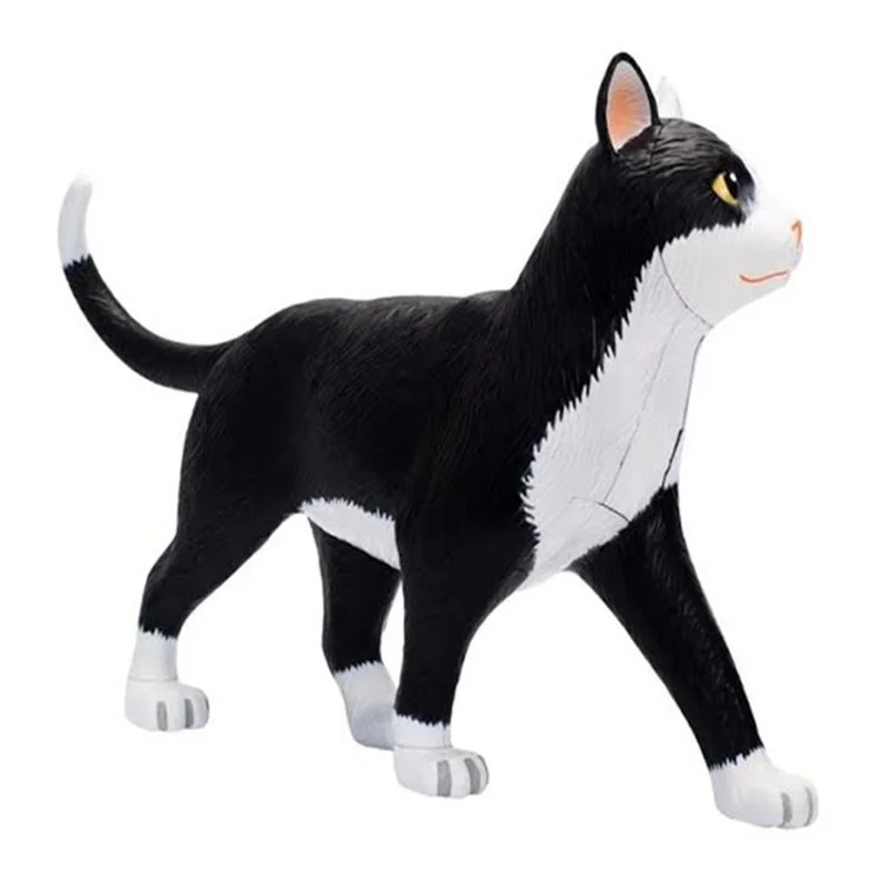 NEW   Black And White Cat Anatomical Model    Removable Simulation Animal     Medical Teaching Props